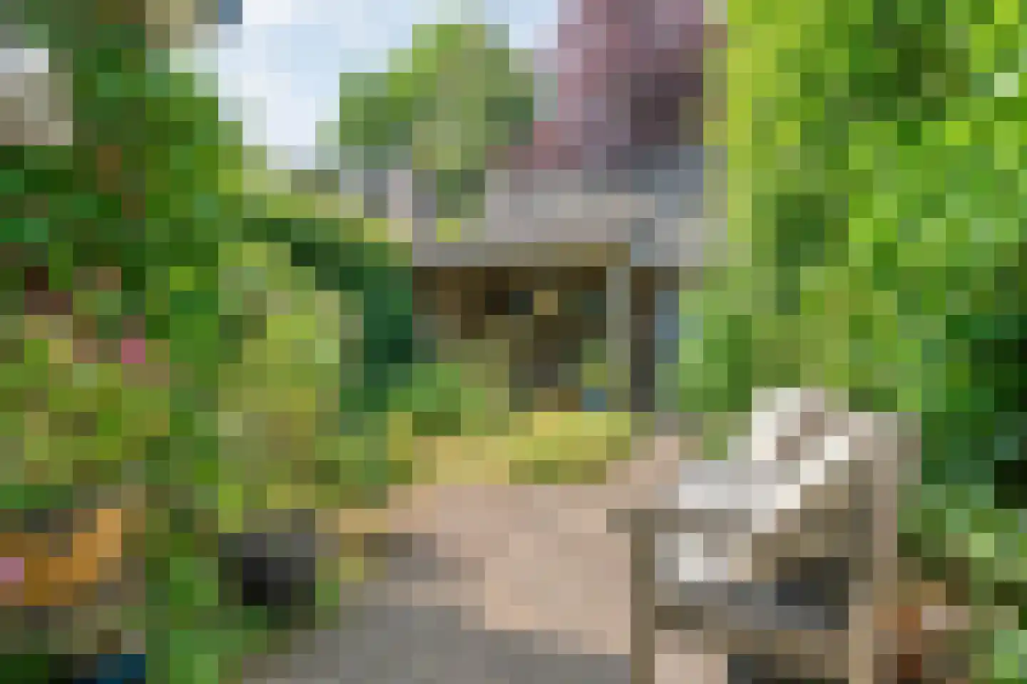 Hoge Haerlaan 14 Oldenzaal thumbnail 31