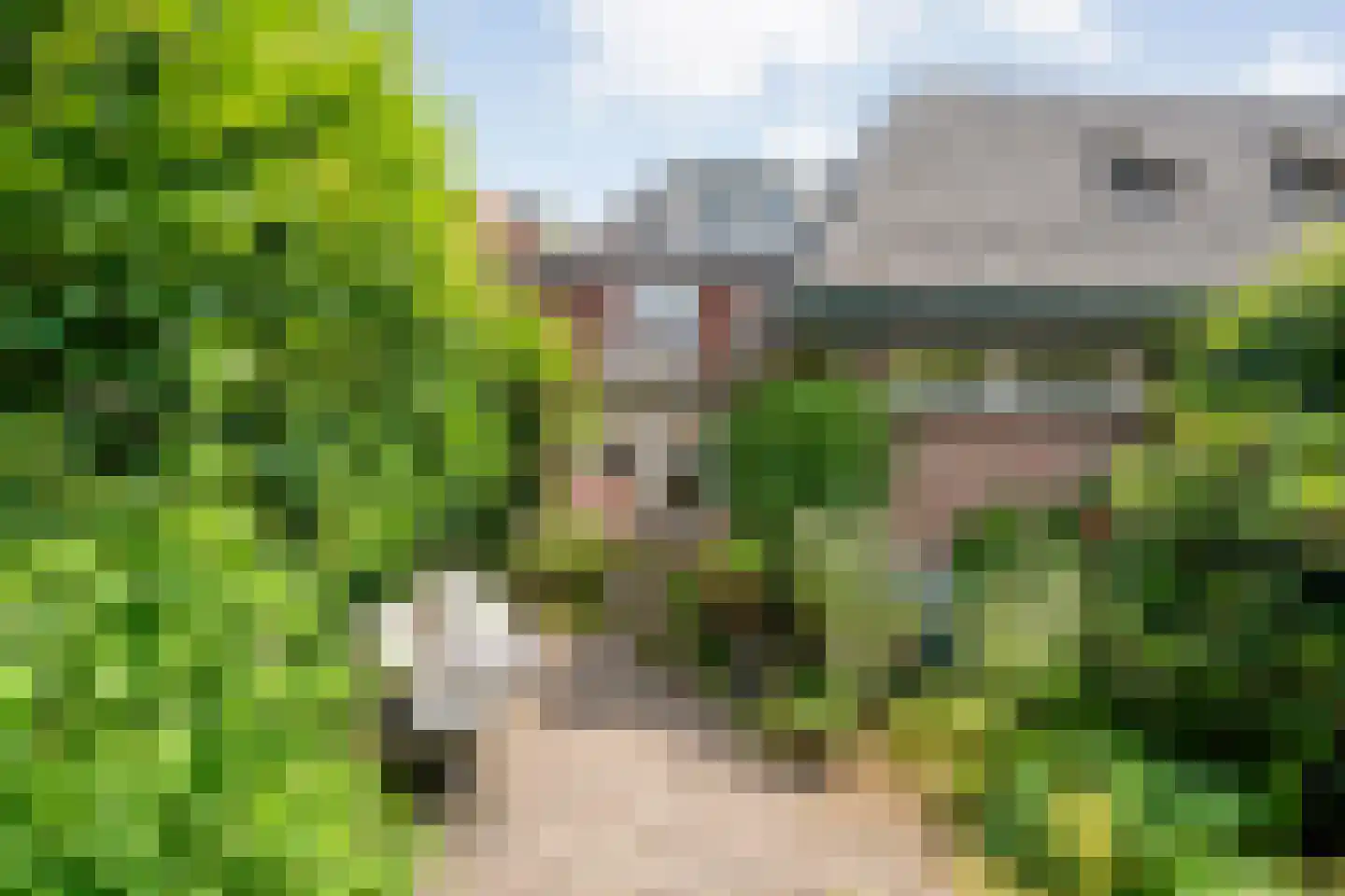 Hoge Haerlaan 14 Oldenzaal thumbnail 32