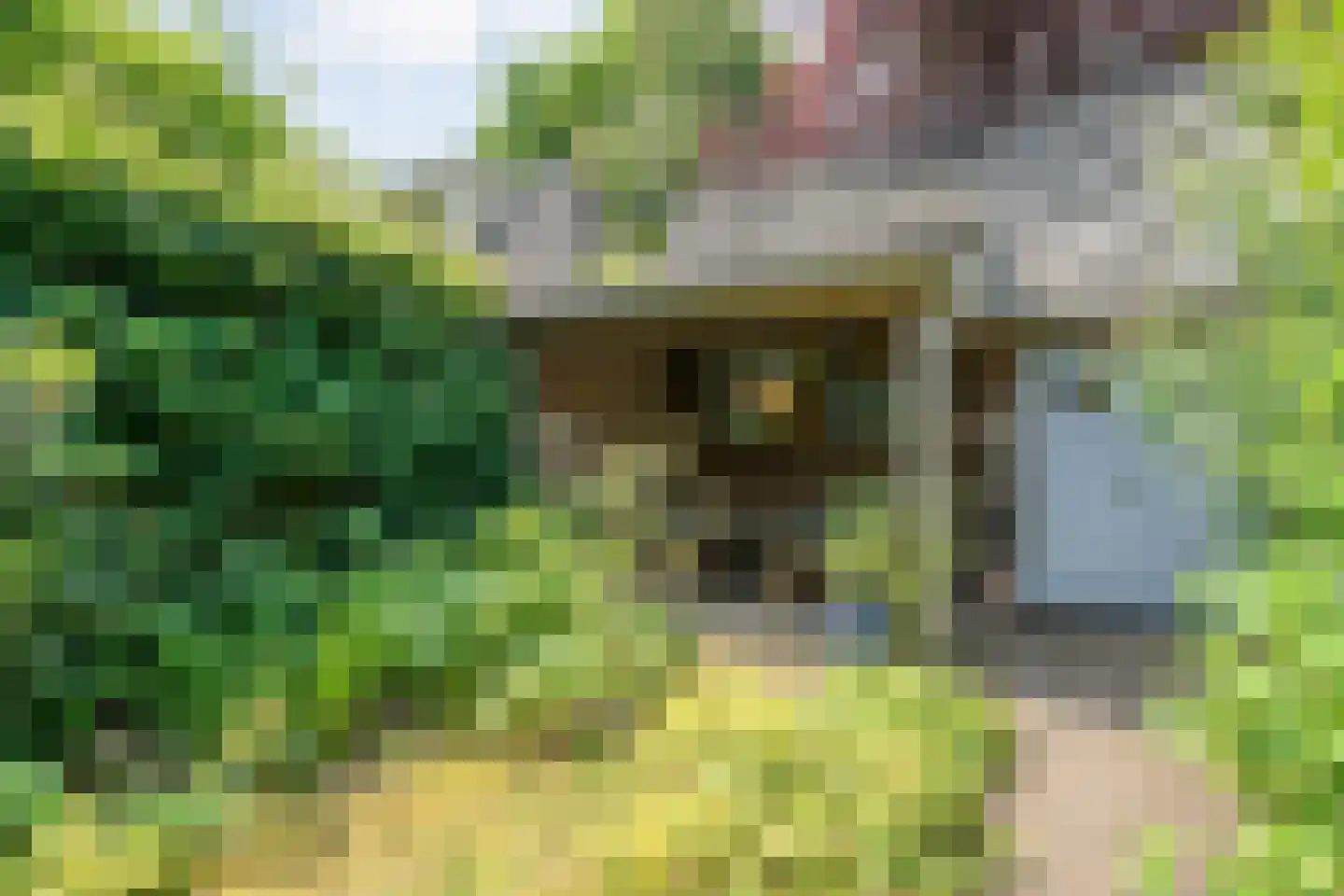 Hoge Haerlaan 14 Oldenzaal thumbnail 33