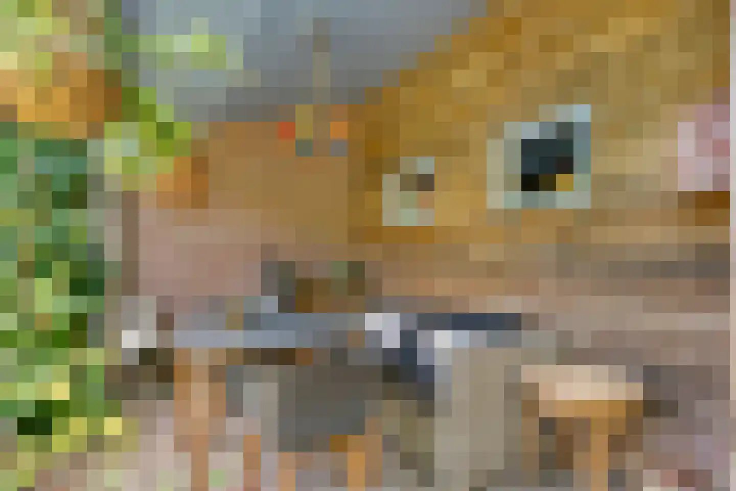 Hoge Haerlaan 14 Oldenzaal thumbnail 34