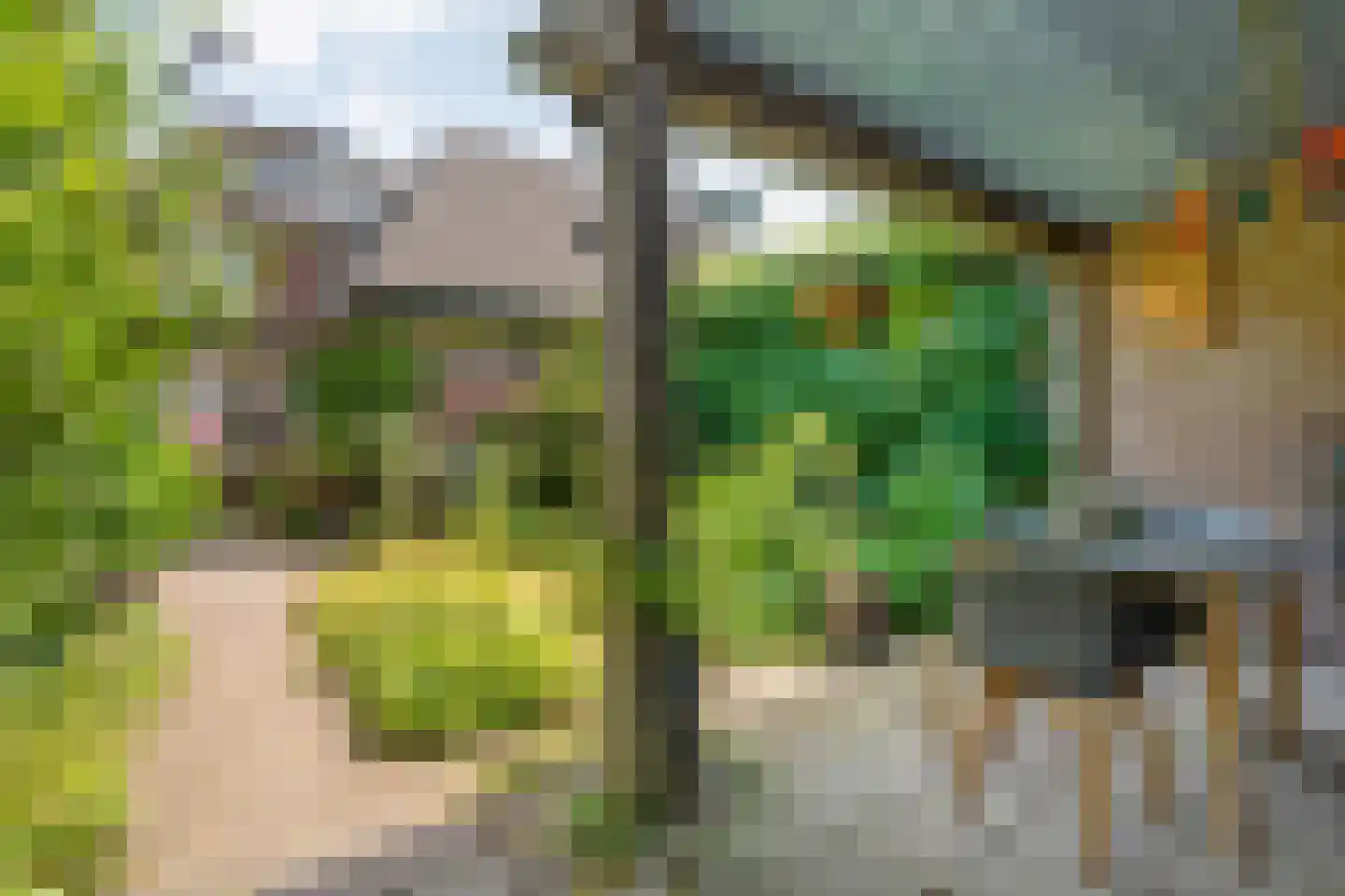 Hoge Haerlaan 14 Oldenzaal thumbnail 35