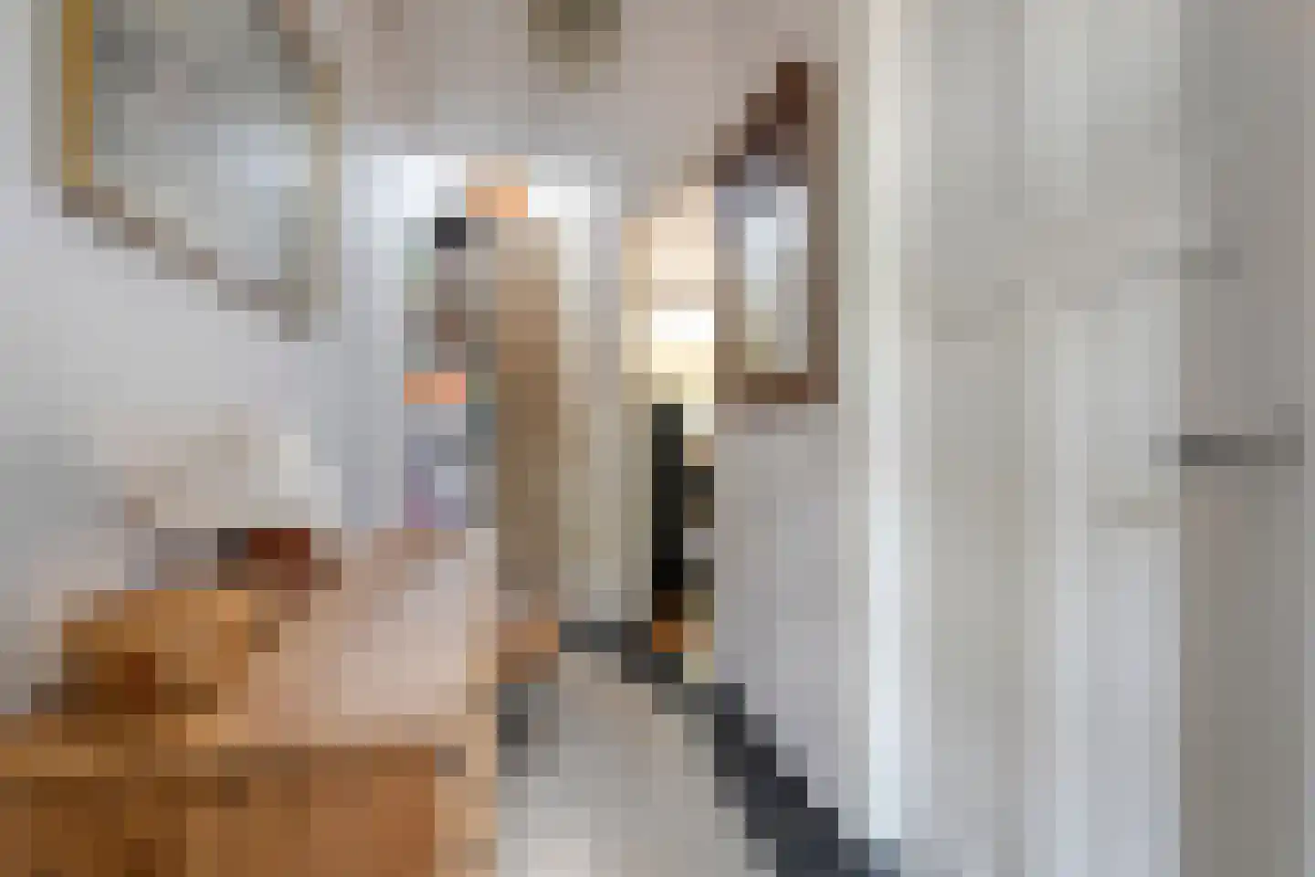 Hoge Haerlaan 14 Oldenzaal thumbnail 5