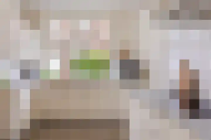 Hoge Haerlaan 27 Oldenzaal thumbnail 13