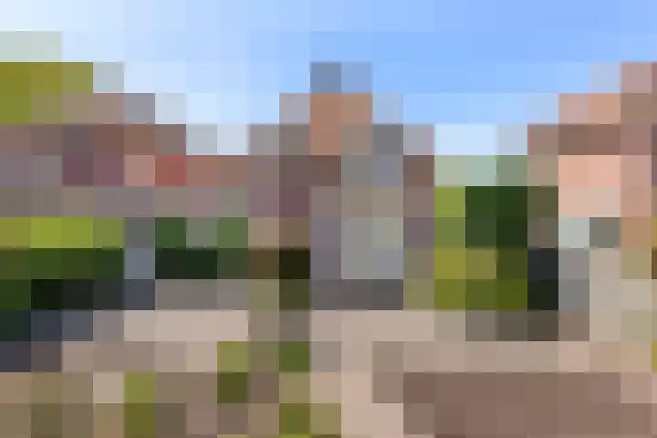 Hoge Haerlaan 27 Oldenzaal thumbnail 22
