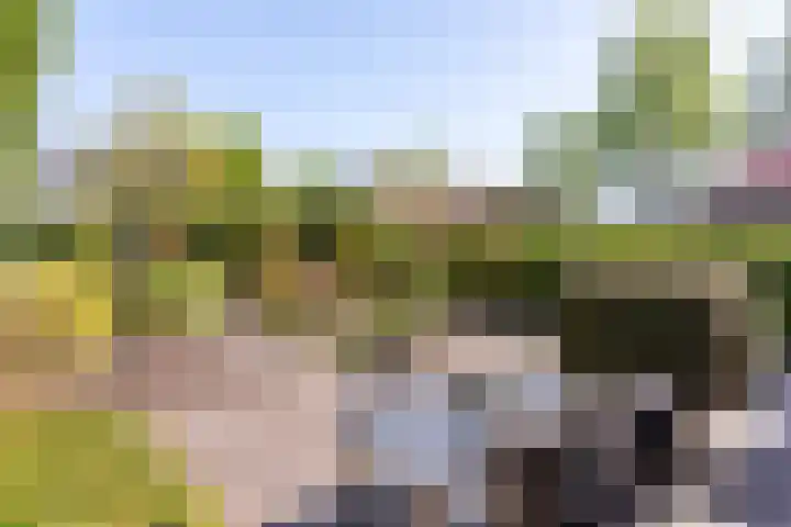 Hoge Haerlaan 27 Oldenzaal thumbnail 23