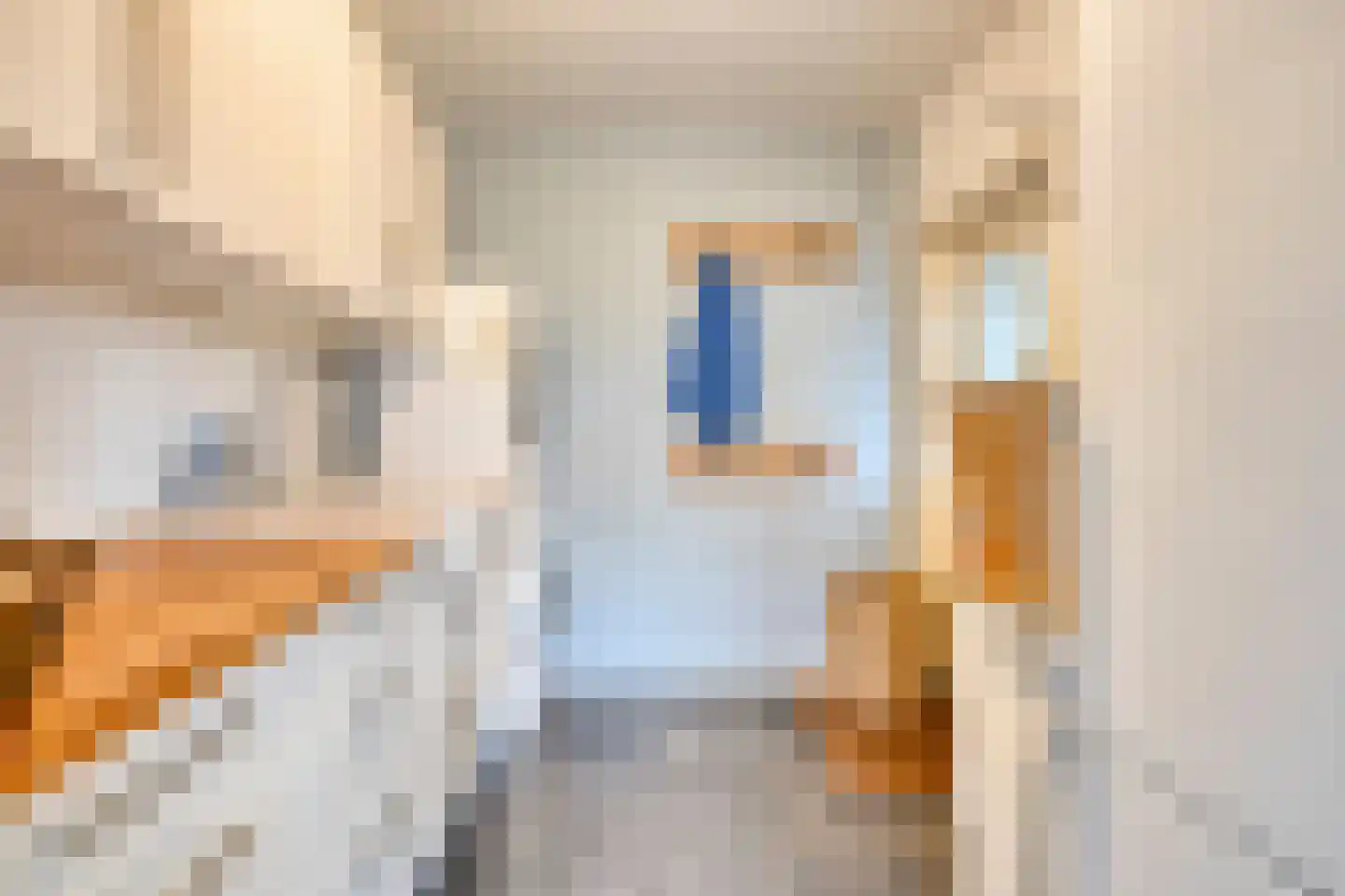 Hoge Haerlaan 29 Oldenzaal thumbnail 25