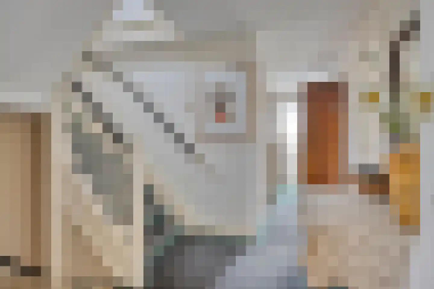 Hoge Haerlaan 29 Oldenzaal thumbnail 27