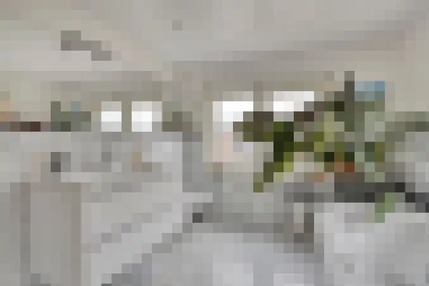 Hoge Haerlaan 29 Oldenzaal thumbnail 31