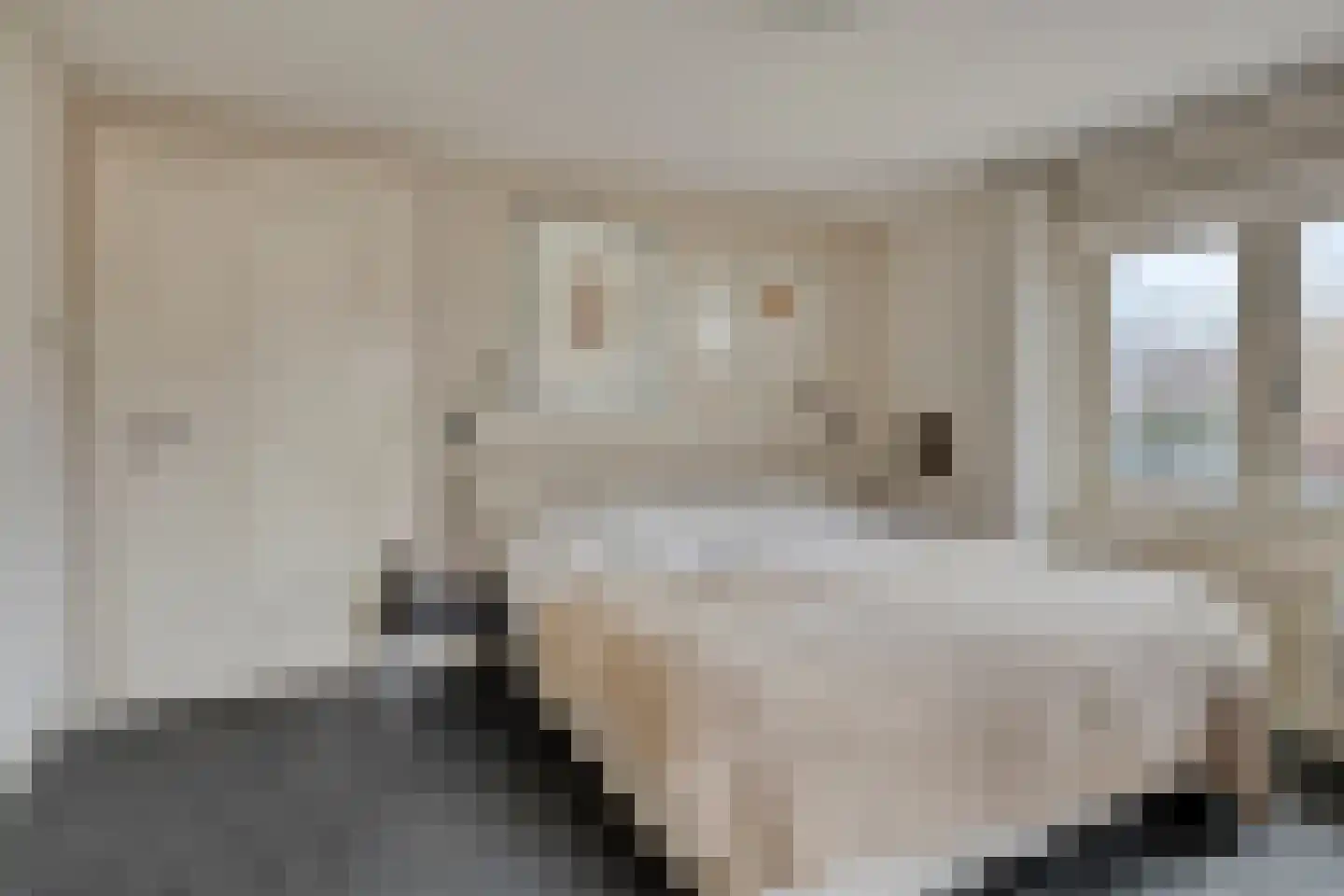 Hoge Haerlaan 29 Oldenzaal thumbnail 35