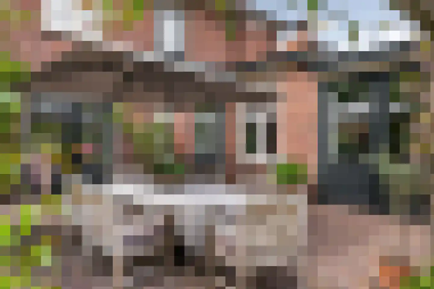 Hoge Haerlaan 29 Oldenzaal thumbnail 46