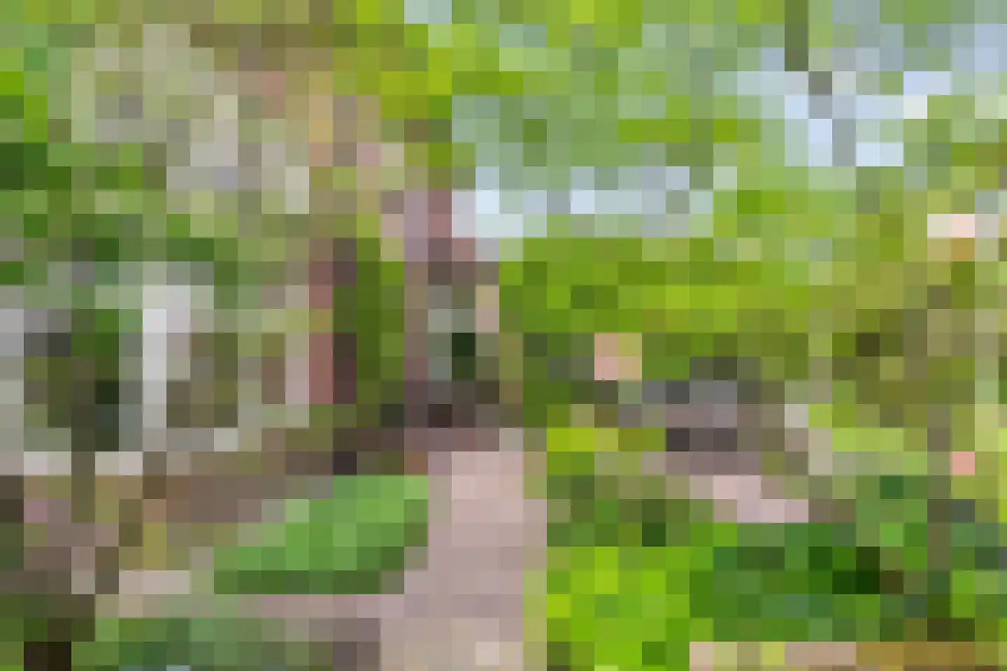 Hoge Haerlaan 29 Oldenzaal thumbnail 47