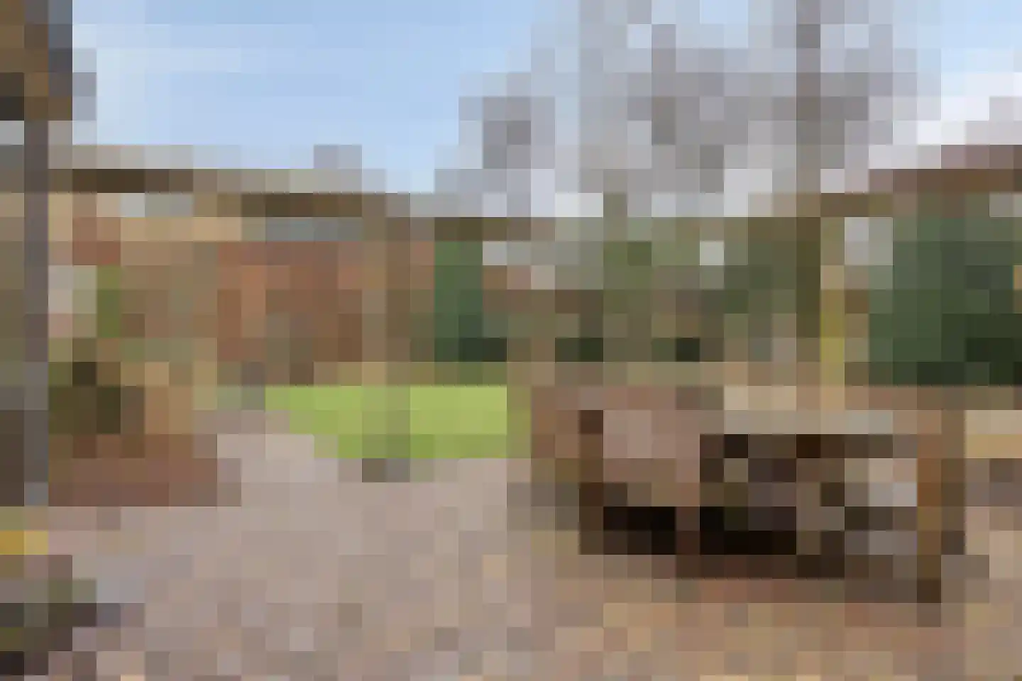 Hoge Haerlaan 29 Oldenzaal thumbnail 47