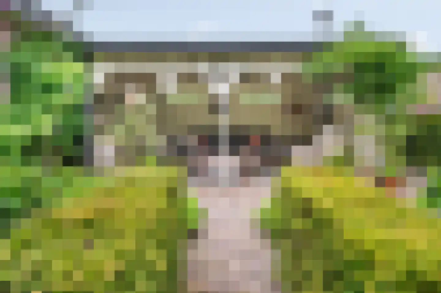 Hoge Haerlaan 29 Oldenzaal thumbnail 49