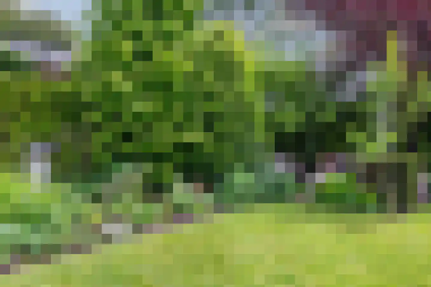 Hoge Haerlaan 29 Oldenzaal thumbnail 51