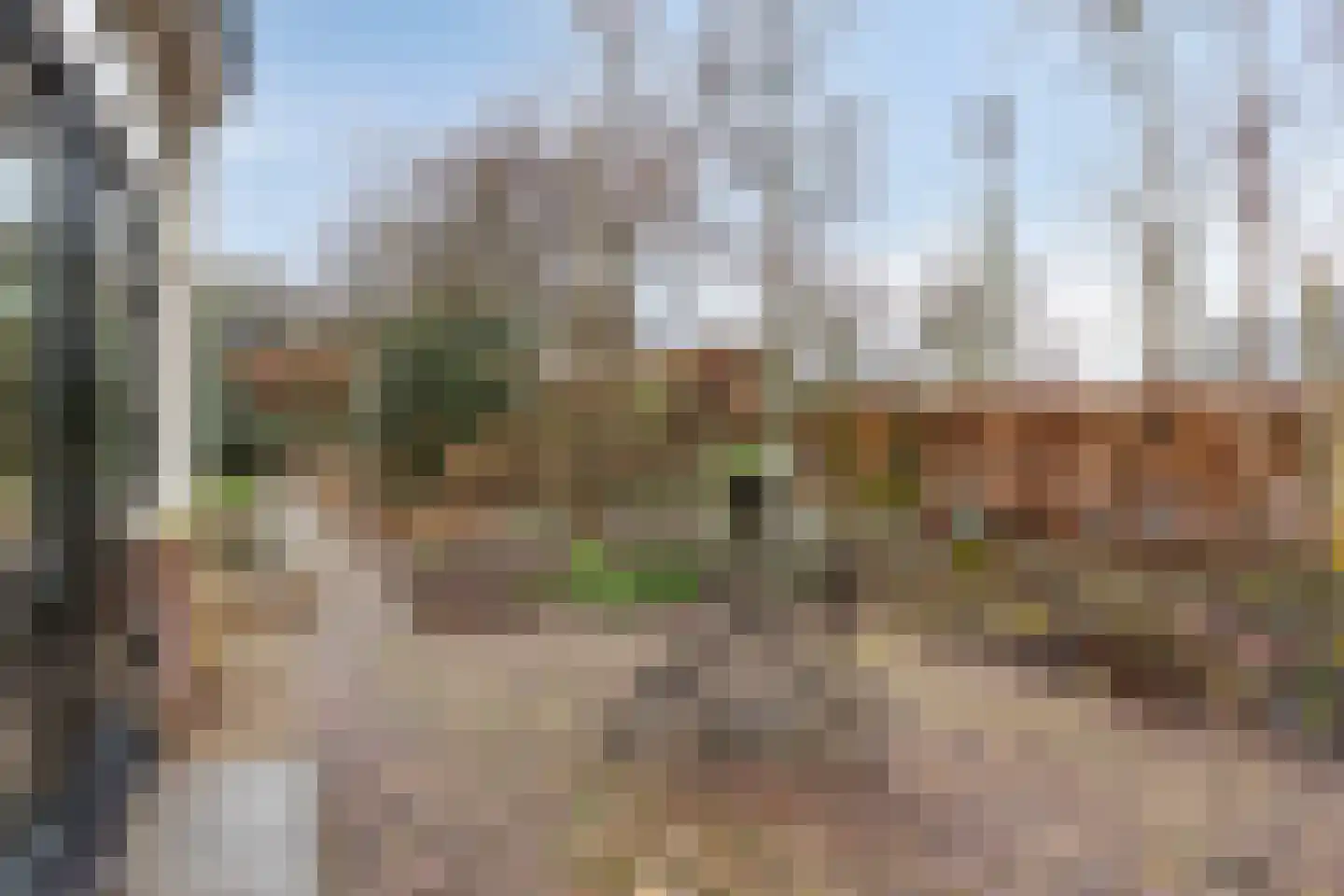 Hoge Haerlaan 29 Oldenzaal thumbnail 55