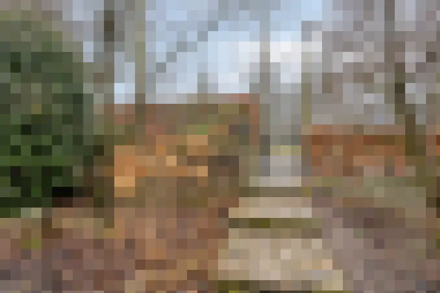 Hoge Haerlaan 29 Oldenzaal thumbnail 56
