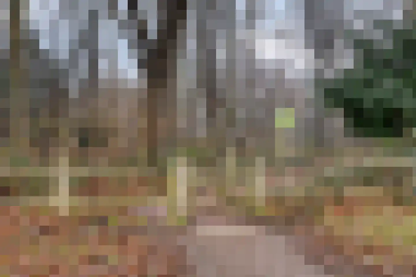 Hoge Haerlaan 29 Oldenzaal thumbnail 62