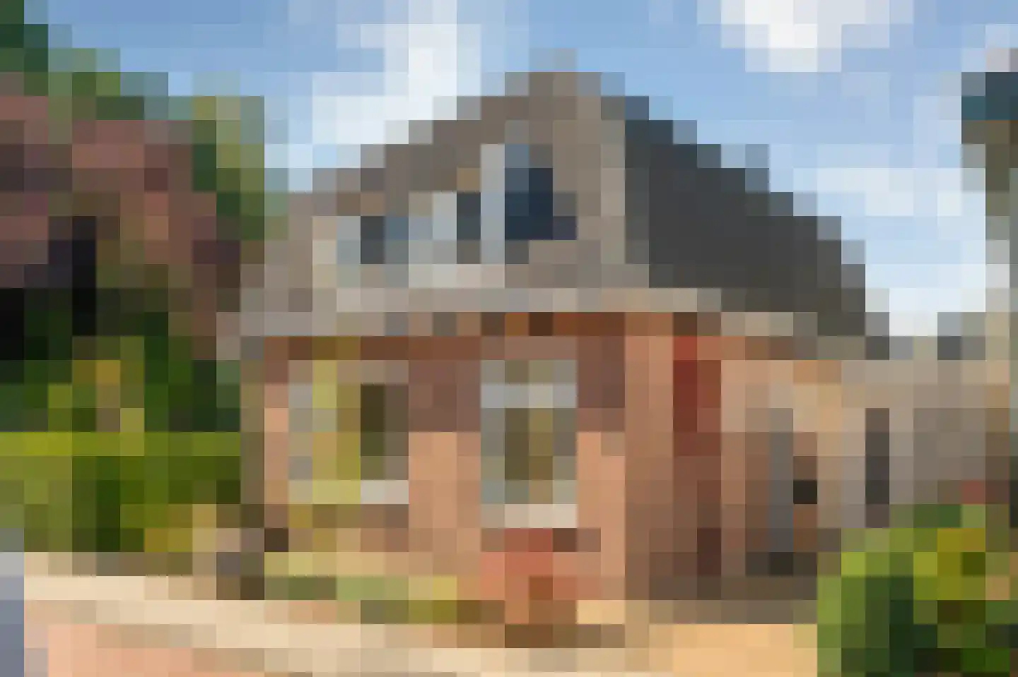 Hoge Haerlaan 36 Oldenzaal