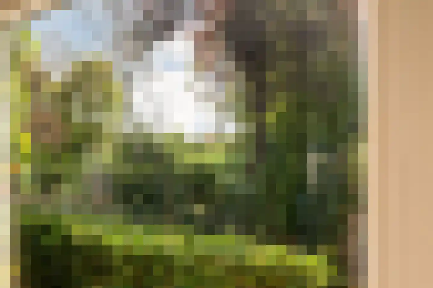 Hoge Haerlaan 36 Oldenzaal thumbnail 15