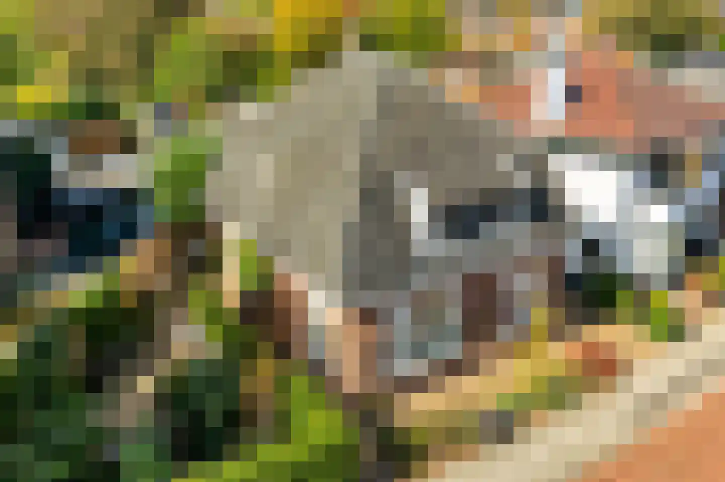 Hoge Haerlaan 36 Oldenzaal thumbnail 26