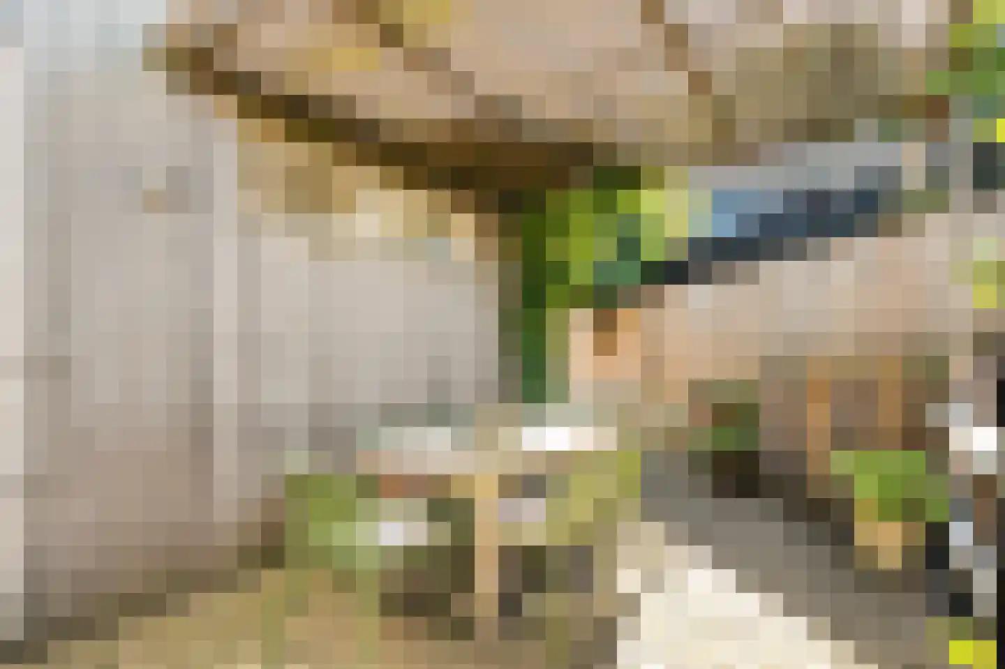 Hoge Haerlaan 36 Oldenzaal thumbnail 27