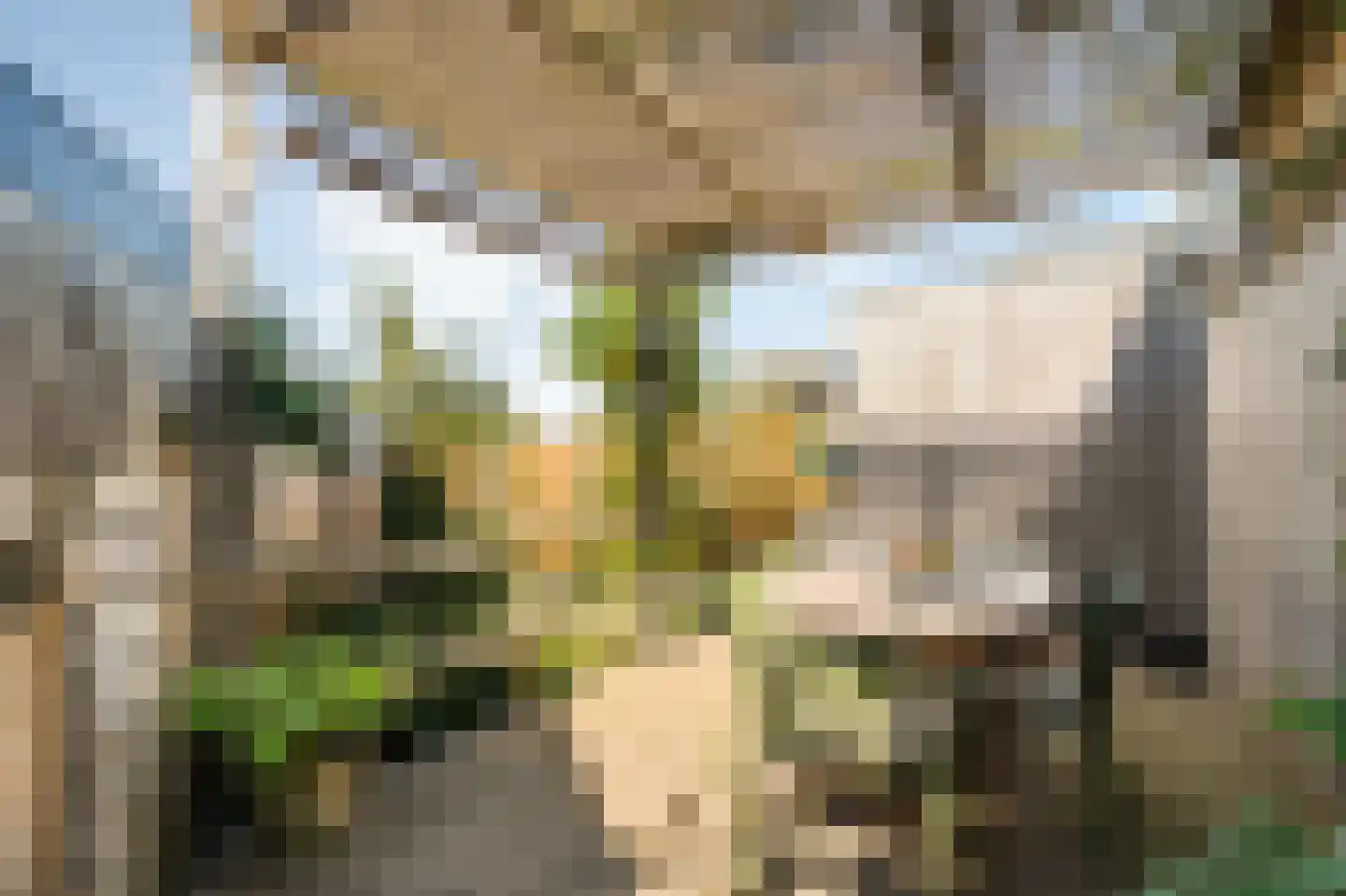 Hoge Haerlaan 36 Oldenzaal thumbnail 28