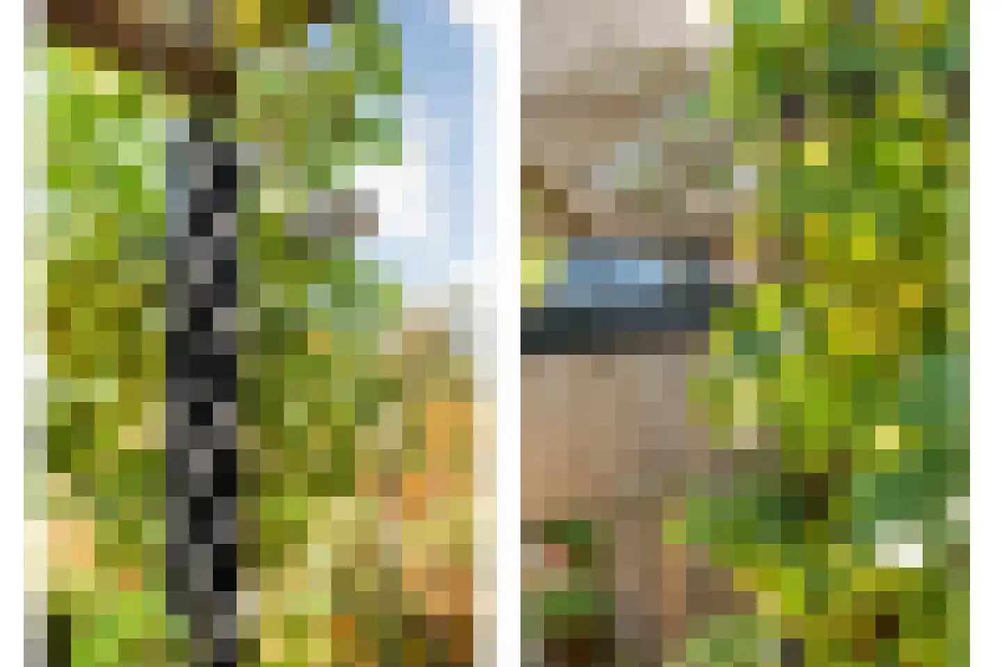 Hoge Haerlaan 36 Oldenzaal thumbnail 30