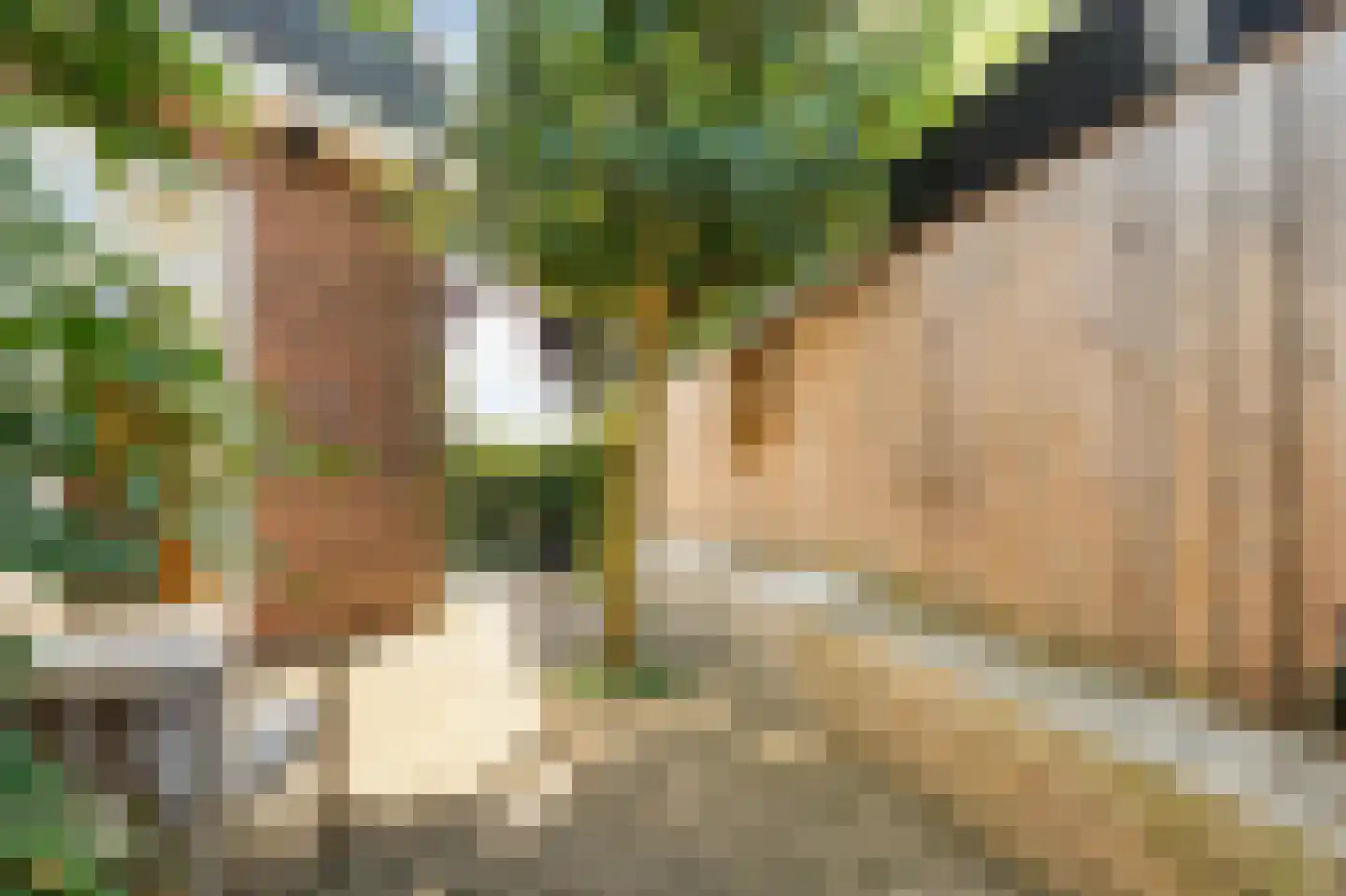 Hoge Haerlaan 36 Oldenzaal thumbnail 31