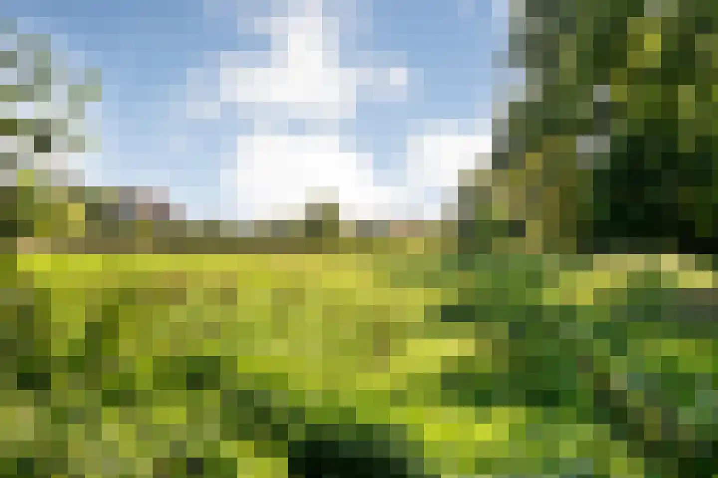 Hoge Haerlaan 36 Oldenzaal thumbnail 34