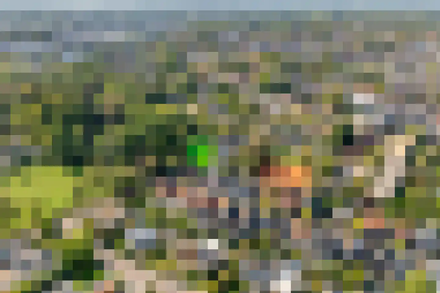 Hoge Haerlaan 36 Oldenzaal thumbnail 36