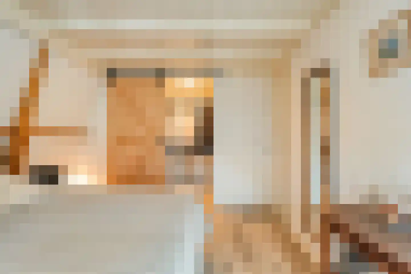 Hoge Haerlaan 36 Oldenzaal thumbnail 4