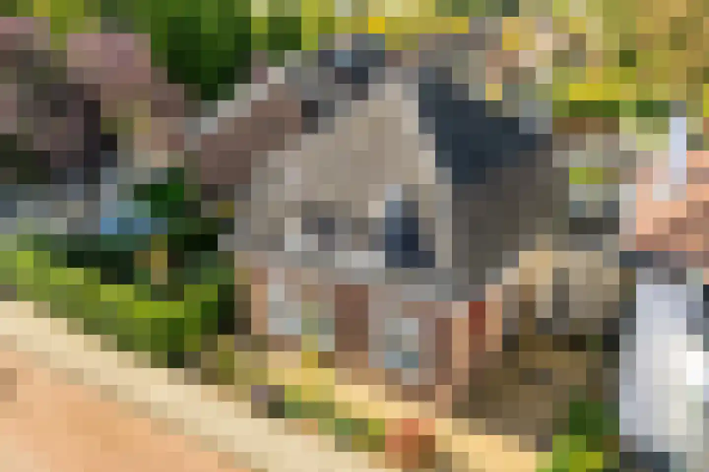 Hoge Haerlaan 36 Oldenzaal thumbnail 5