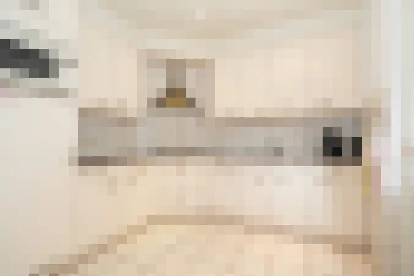 Hoge Hagt 43 Epe thumbnail 10