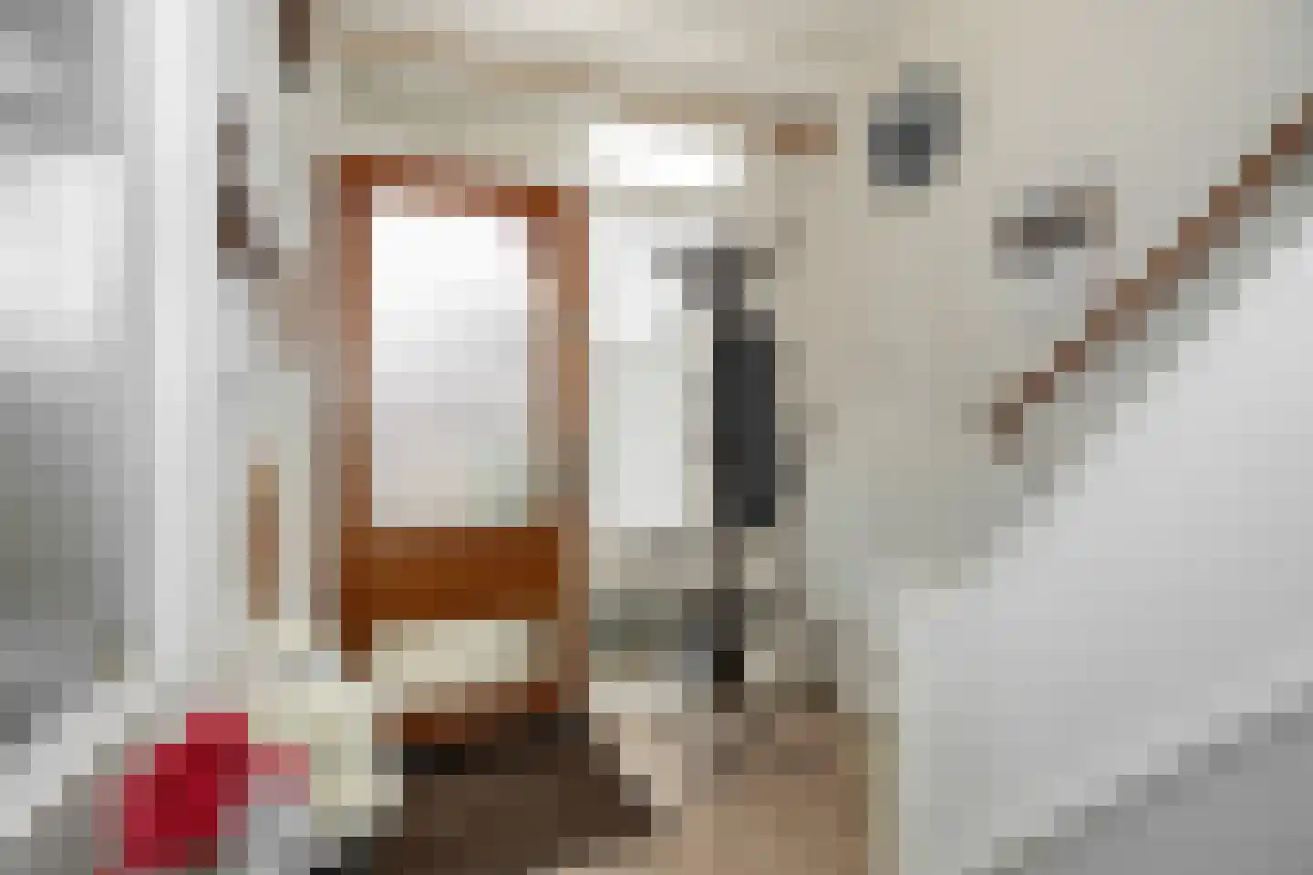Hoge Hagt 43 Epe thumbnail 13