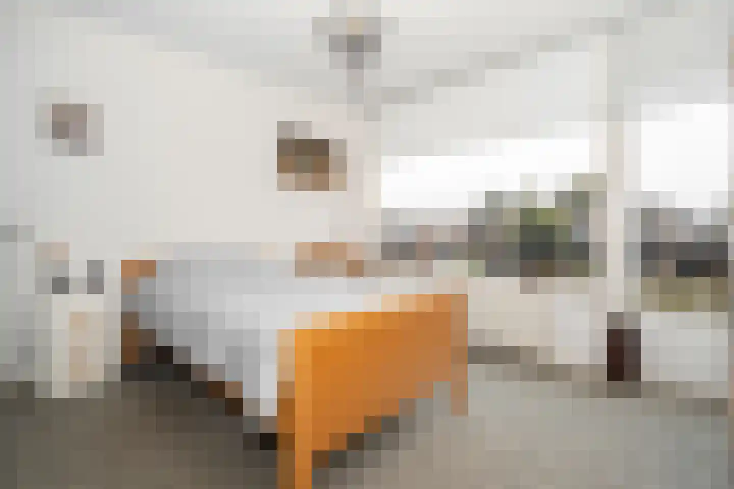Hoge Hagt 43 Epe thumbnail 15