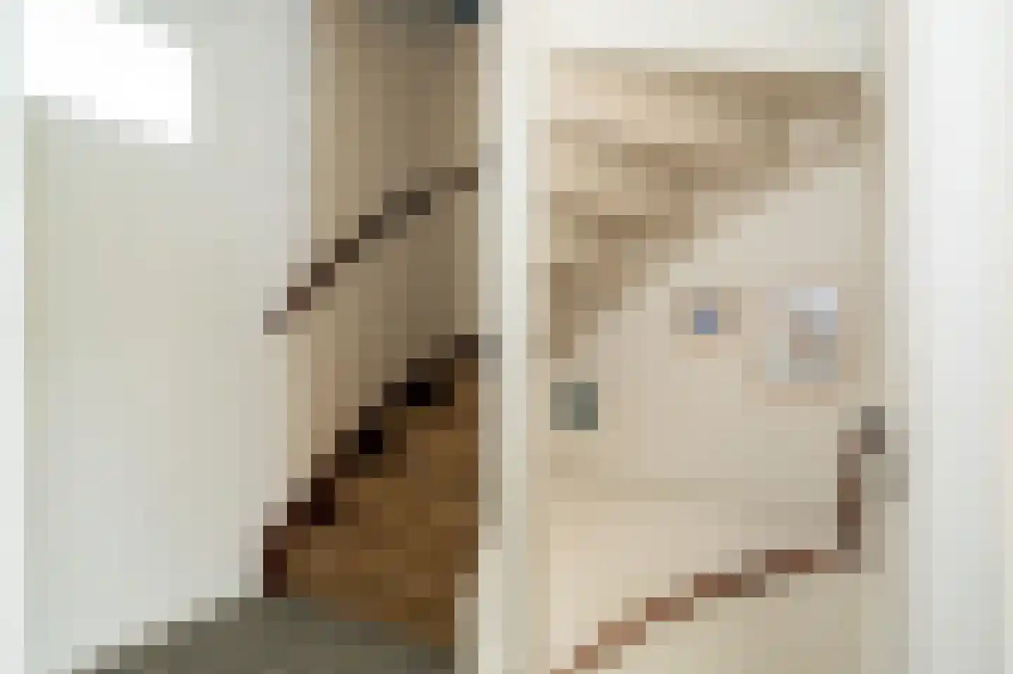 Hoge Hagt 43 Epe thumbnail 24