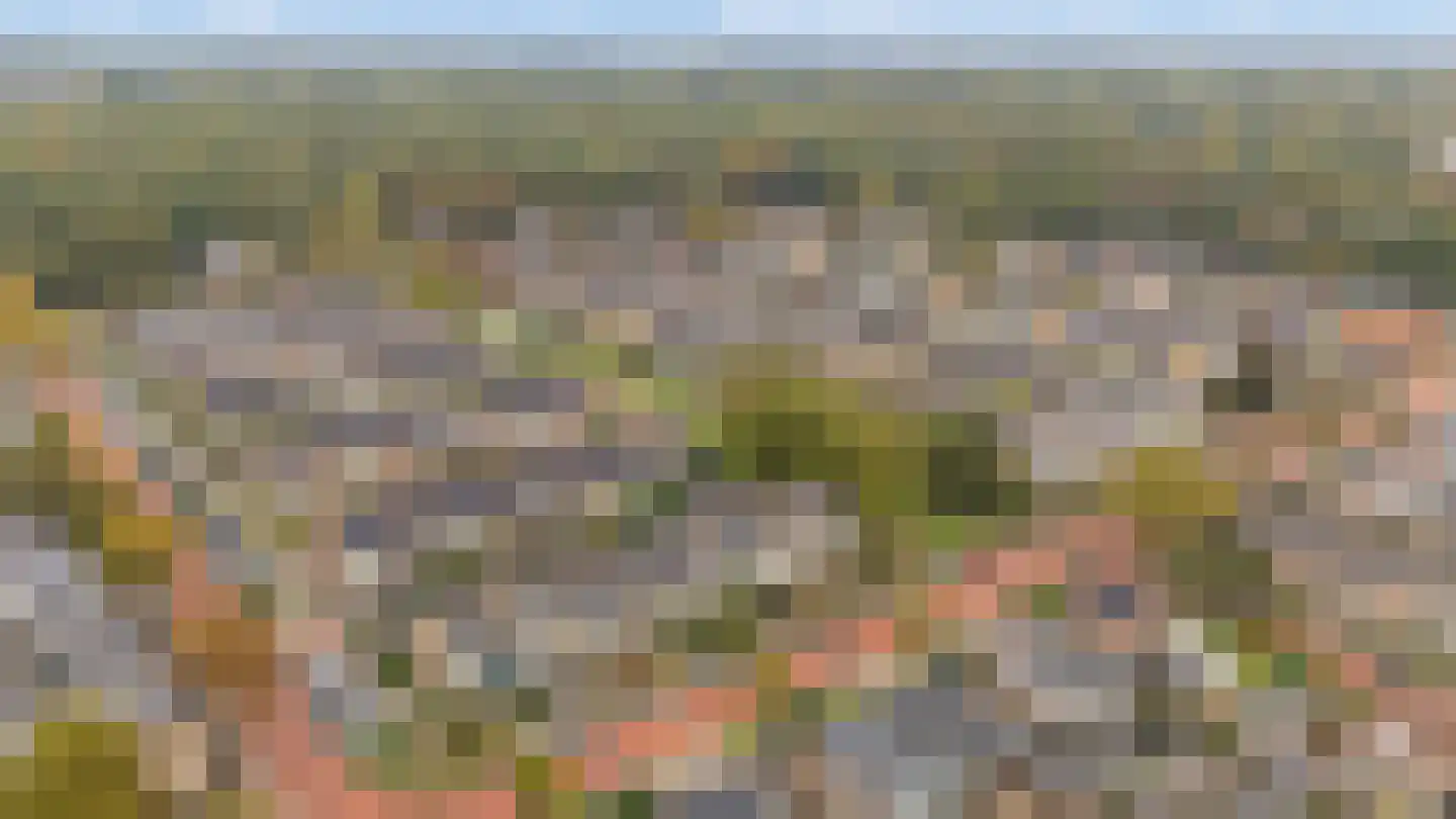 Hoge Hagt 43 Epe thumbnail 31