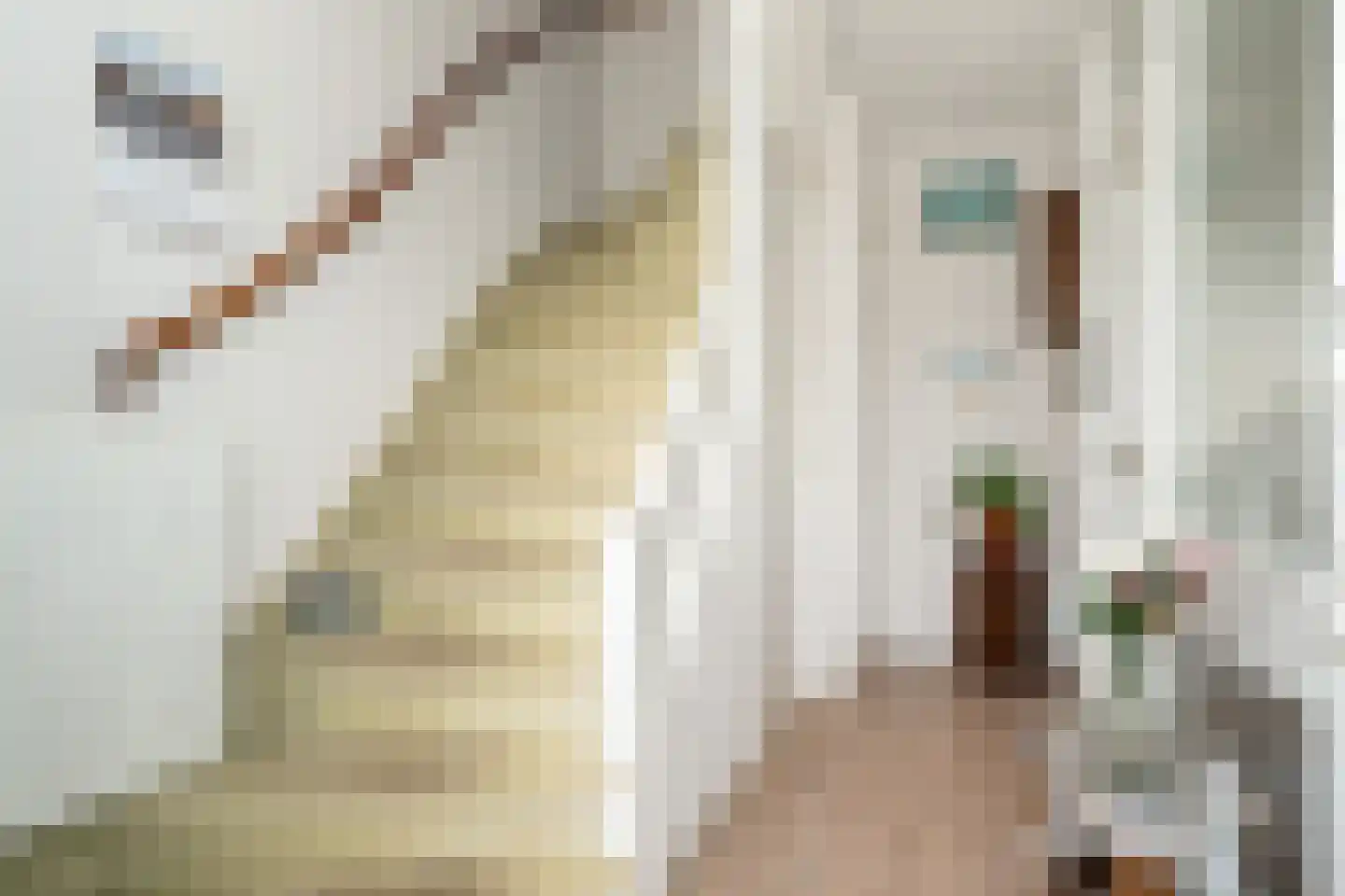 Hoge Hagt 43 Epe thumbnail 4