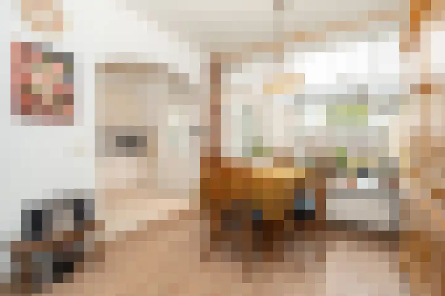 Hoge Hagt 43 Epe thumbnail 7