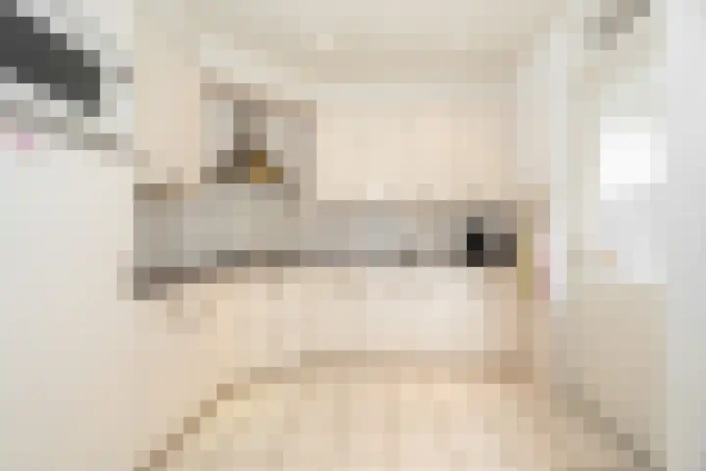 Hoge Hagt 43 Epe thumbnail 9