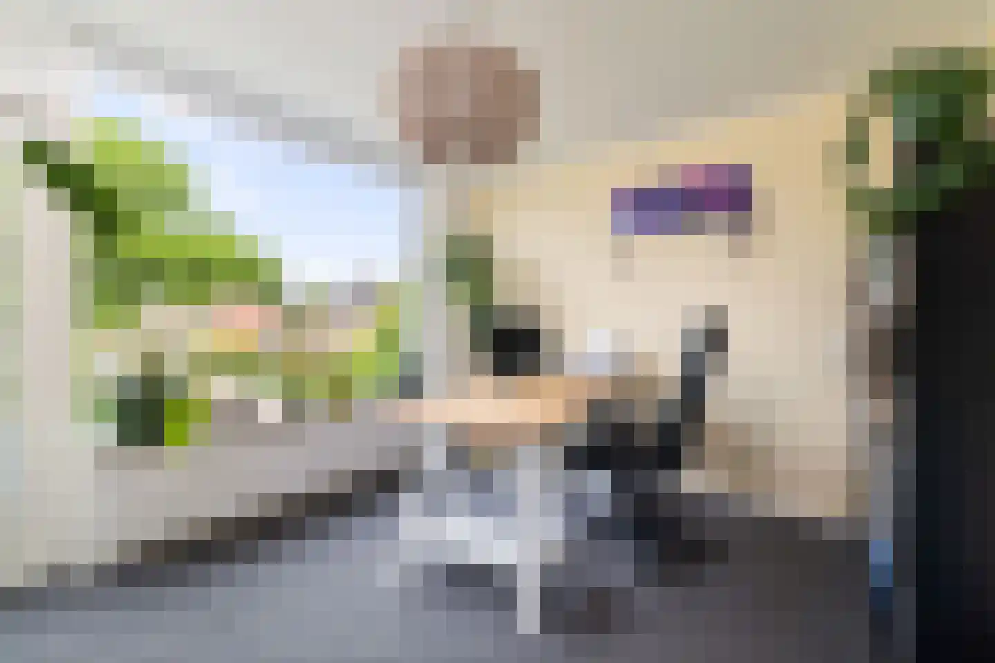 Hoge Hagt 55 Epe thumbnail 13