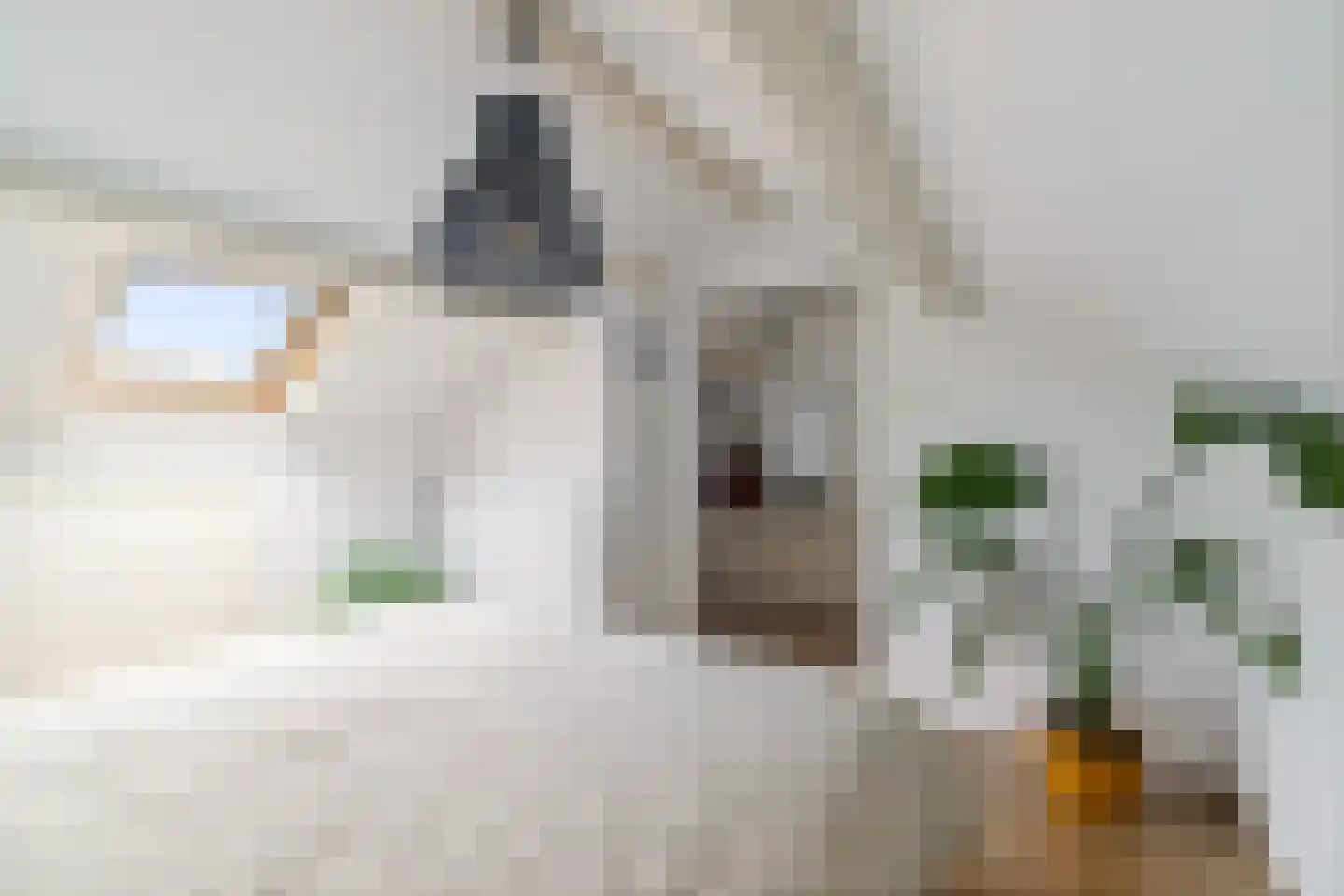 Hoge Hagt 55 Epe thumbnail 18