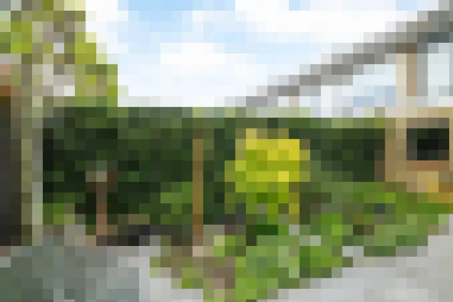 Hoge Hagt 55 Epe thumbnail 20