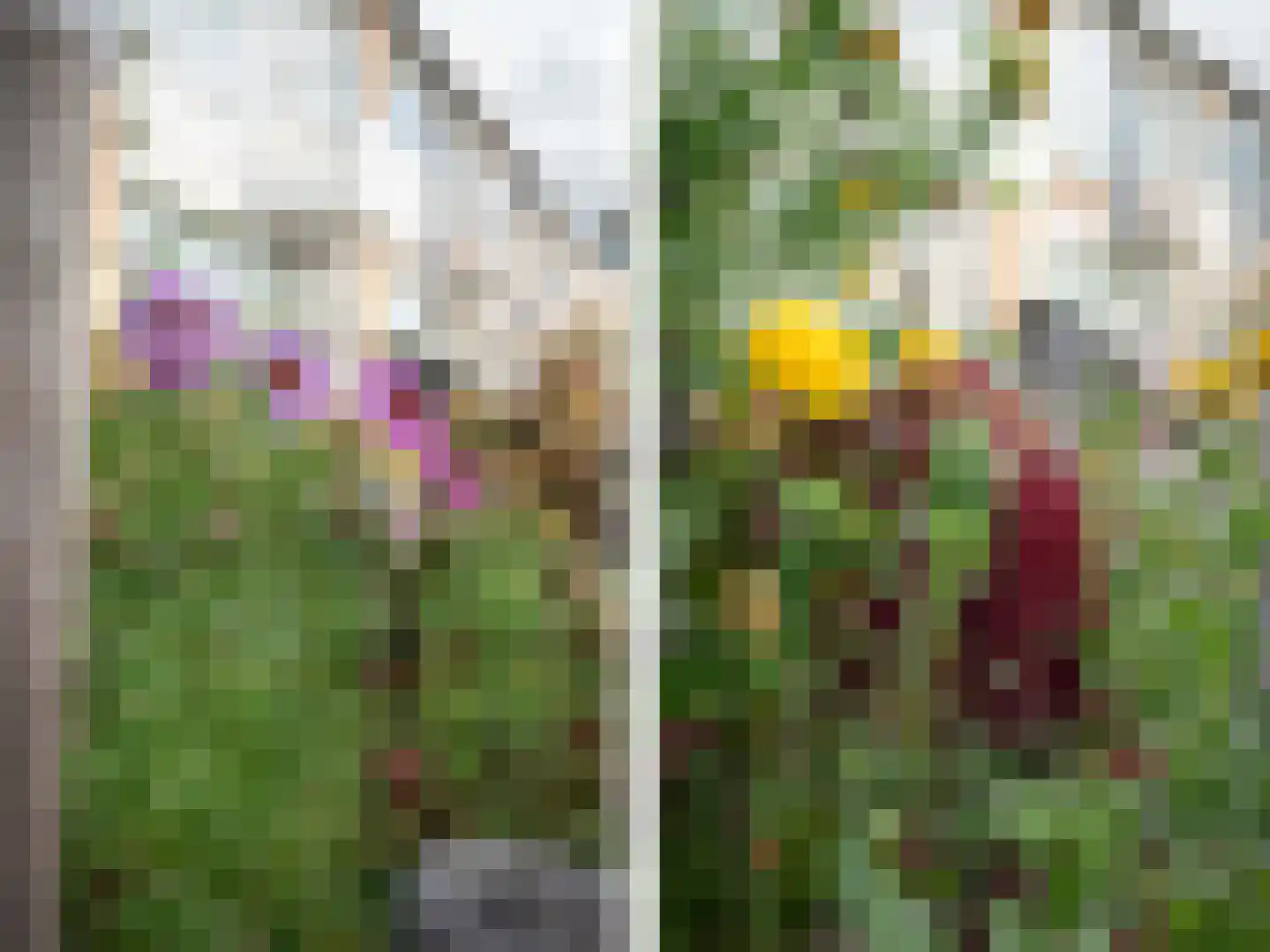 Hoge Hagt 55 Epe thumbnail 26