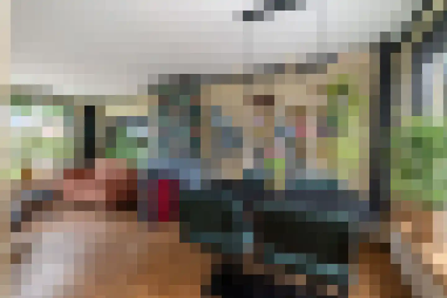 Hoge Hagt 55 Epe thumbnail 8