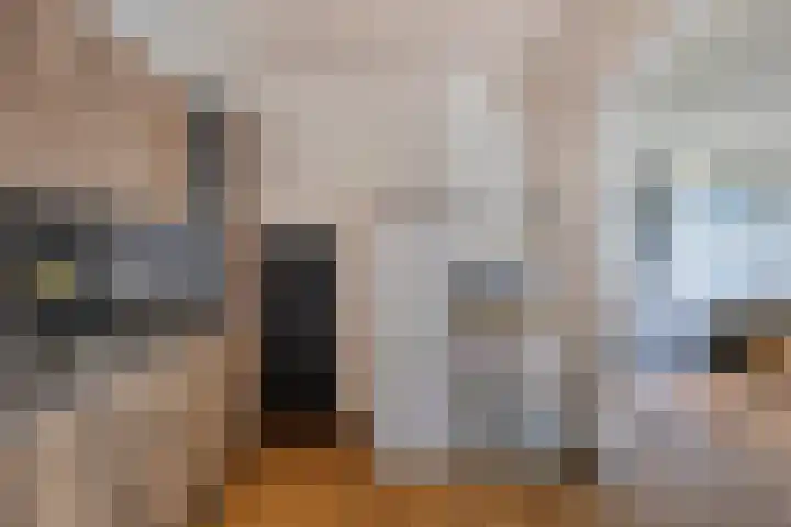 Hoge Hagt 59 Epe thumbnail 13