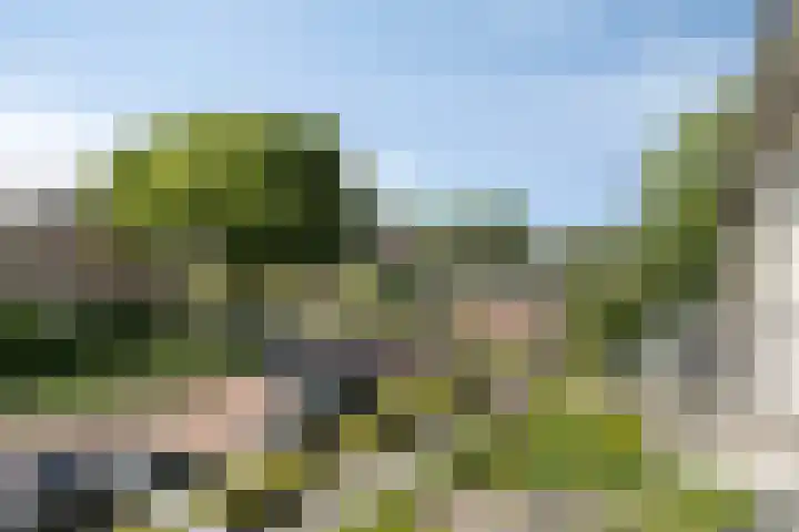 Hoge Hagt 59 Epe thumbnail 17