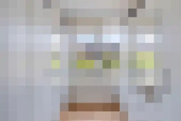 Hoge Hagt 59 Epe thumbnail 20