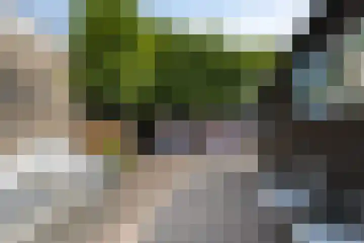 Hoge Hagt 59 Epe thumbnail 27