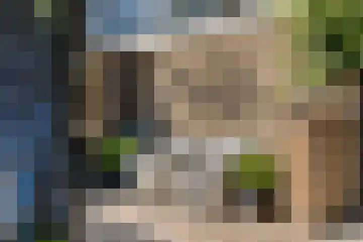 Hoge Hagt 59 Epe thumbnail 29